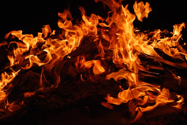 foc
