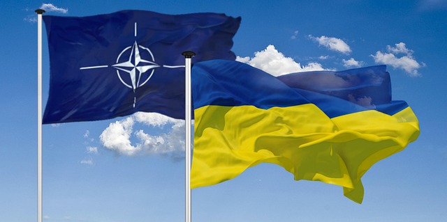 steagurile ucrainei și nato